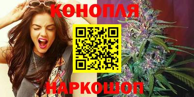 прущие грибы Камышлов