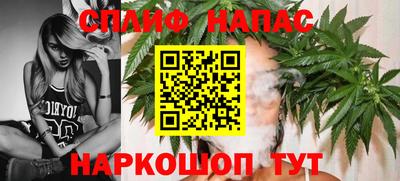 прущие грибы Камышлов