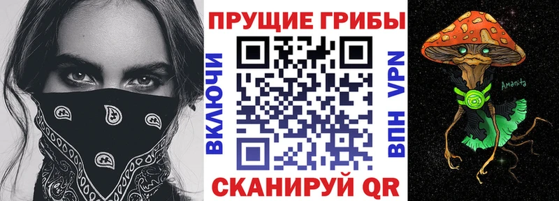 Галлюциногенные грибы мухоморы Отрадное