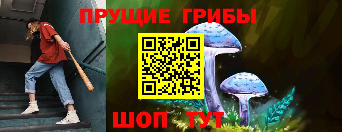 Отрадное  Галлюциногенные грибы прущие грибы  Вход с VPN 